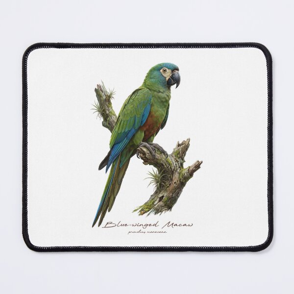 Item preview, Blue-winged Macaw on Mossy Branch designed and sold by Takeda-art.