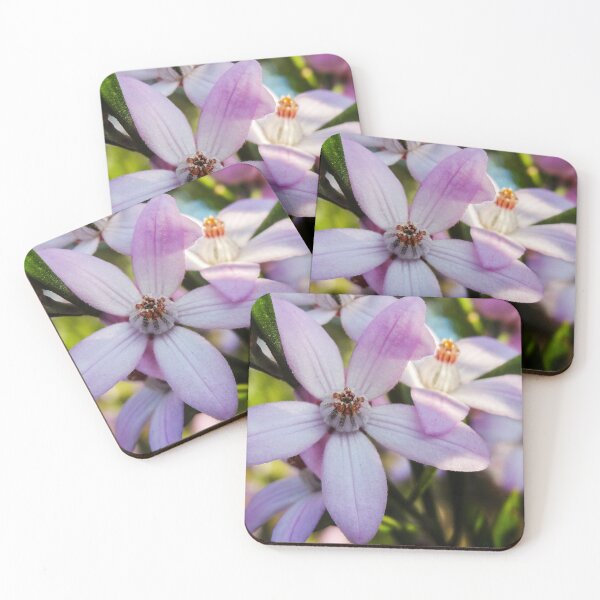 Item preview, Pink Wax Flower Close Up | Delicate Eriostemon Australasius - Native Australian Wildflower Art designed and sold by Ross.A.Campbell.