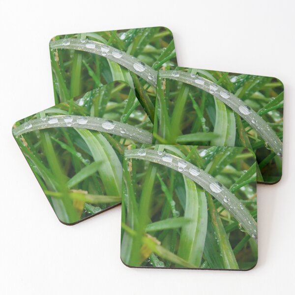 Item preview, Water Droplets Balancing on Curved Grass Blade designed and sold by ShotsbyDesiree.