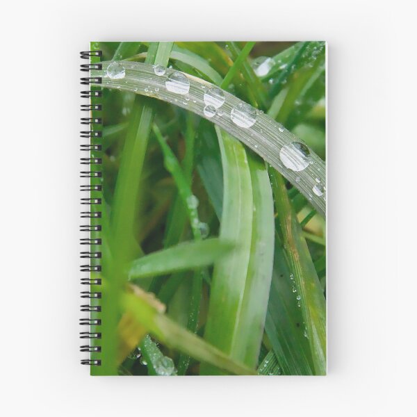 Item preview, Water Droplets Balancing on Curved Grass Blade designed and sold by ShotsbyDesiree.