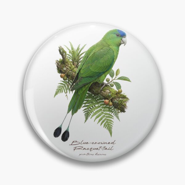 Item preview, Blue-crowned Racquet-tail on Mossy Branch designed and sold by Takeda-art.