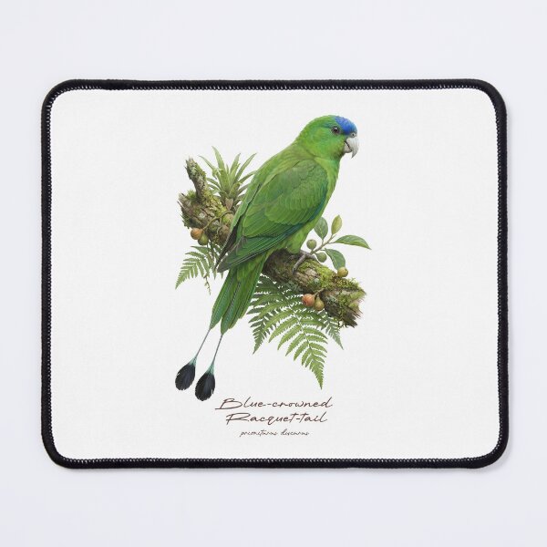 Item preview, Blue-crowned Racquet-tail on Mossy Branch designed and sold by Takeda-art.