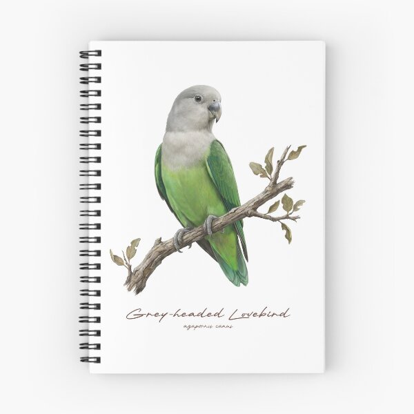 Item preview, Grey-headed Lovebird on Rustic Branch designed and sold by Takeda-art.