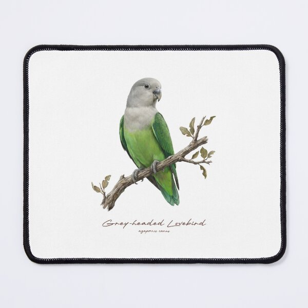 Item preview, Grey-headed Lovebird on Rustic Branch designed and sold by Takeda-art.