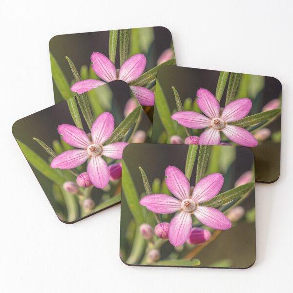 Item preview, Pink Wax Flower Close Up | Delicate Eriostemon Australasius - Native Australian Wildflower Art designed and sold by Ross.A.Campbell.