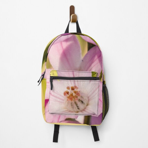 Item preview, Pink Wax Flower Close Up | Delicate Eriostemon Australasius - Native Australian Wildflower Art designed and sold by Ross.A.Campbell.