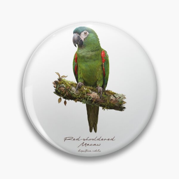 Item preview, Red-shouldered Macaw on Mossy Branch designed and sold by Takeda-art.