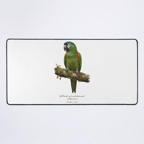 Item preview, Red-shouldered Macaw on Mossy Branch designed and sold by Takeda-art.