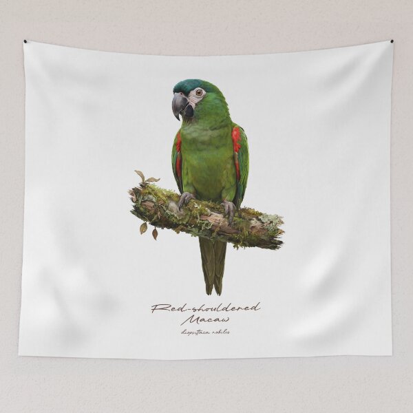 Item preview, Red-shouldered Macaw on Mossy Branch designed and sold by Takeda-art.