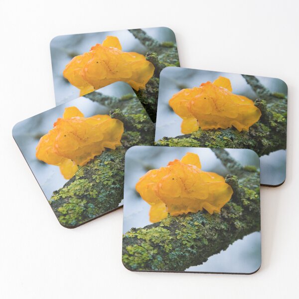 Item preview, Bright Yellow Brain Fungus on Mossy Tree Branch designed and sold by ShotsbyDesiree.