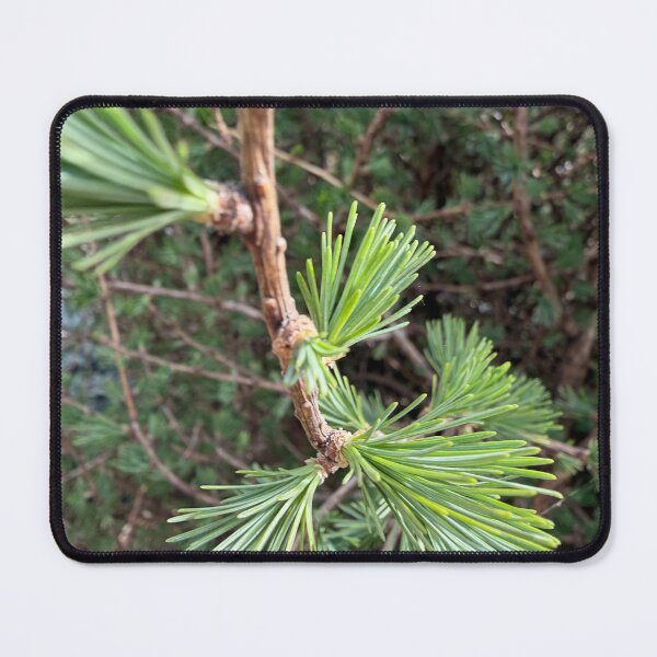 Item preview, Tree Growth designed and sold by Betsy Phillips.