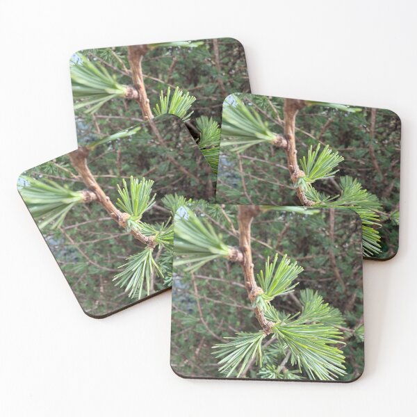 Item preview, Tree Growth designed and sold by Betsy Phillips.