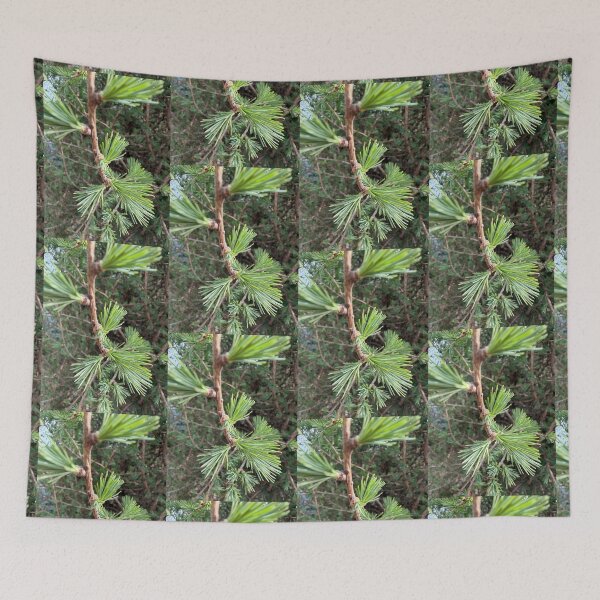 Item preview, Tree Growth designed and sold by Betsy Phillips.