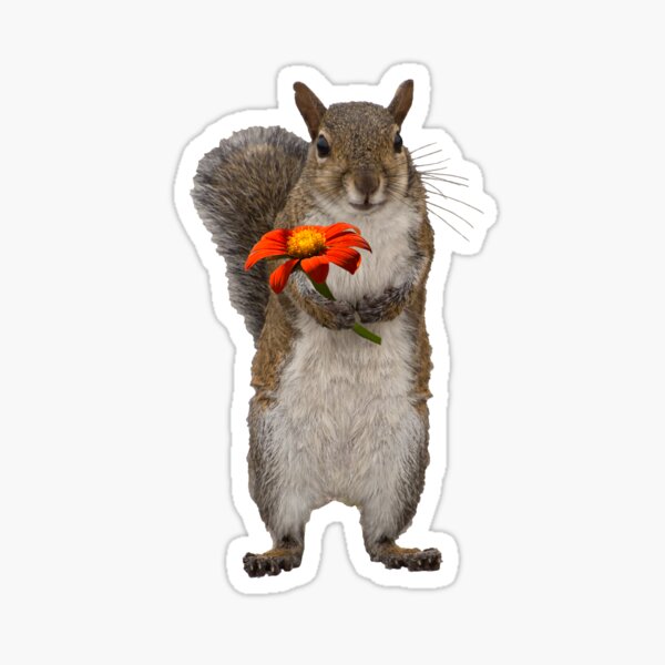 Item preview, Special For You, Squirrel With Flower designed and sold by Zina Stromberg.