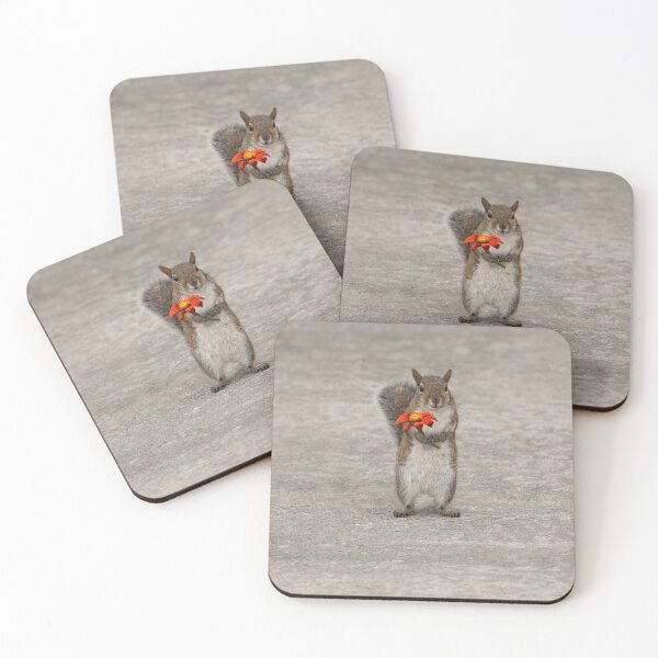 Item preview, Special For You, Squirrel With Flower designed and sold by Zina Stromberg.