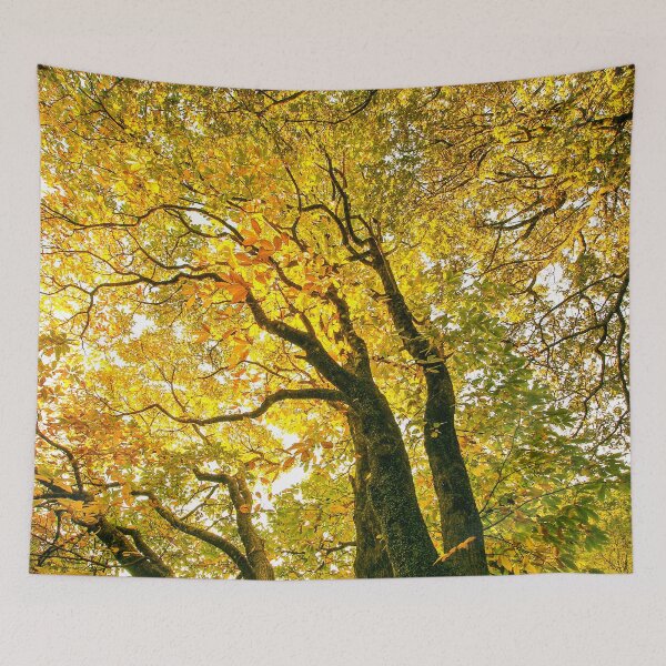 Item preview, Autumn Leaves, Mount Wilson | Vibrant Crimson Maple Foliage, Blue Mountains, NSW, Art designed and sold by Ross.A.Campbell.