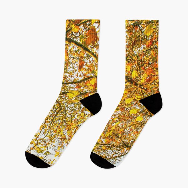 Item preview, Autumn Leaves, Mount Wilson | Vibrant Crimson Maple Foliage, Blue Mountains, NSW, Art designed and sold by Ross.A.Campbell.