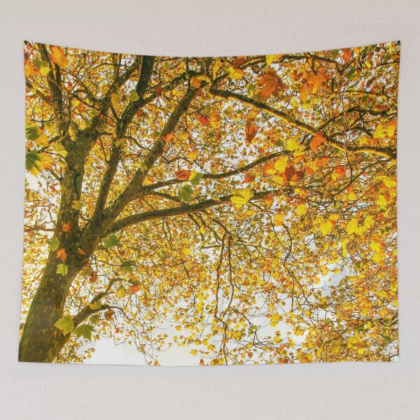 Item preview, Autumn Leaves, Mount Wilson | Vibrant Crimson Maple Foliage, Blue Mountains, NSW, Art designed and sold by Ross.A.Campbell.