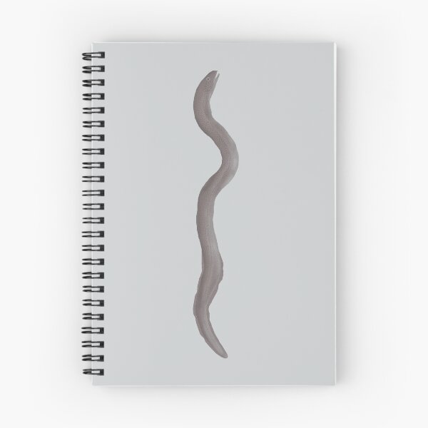Item preview, Marbled Swamp Eel designed and sold by fishfolkart.
