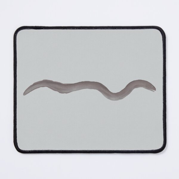 Item preview, Marbled Swamp Eel designed and sold by fishfolkart.
