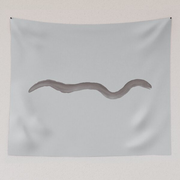 Item preview, Marbled Swamp Eel designed and sold by fishfolkart.