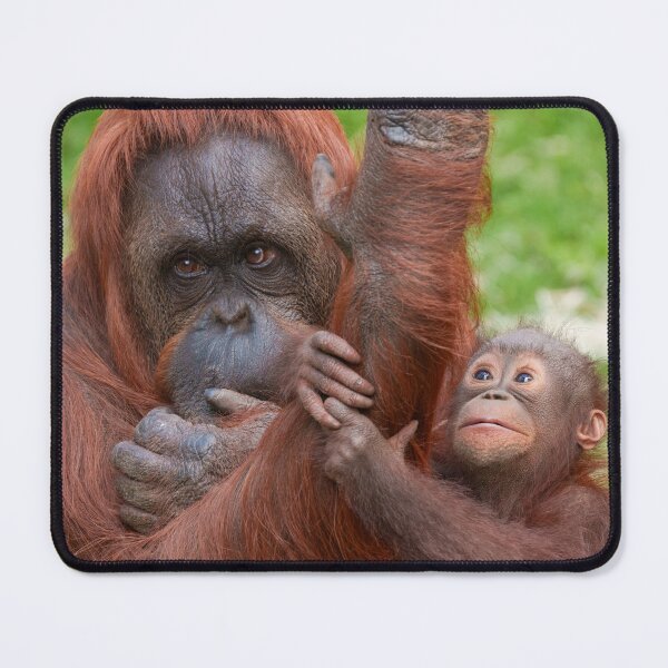 Item preview, Wonder in Those Tiny Eyes designed and sold by rawshutterbug.