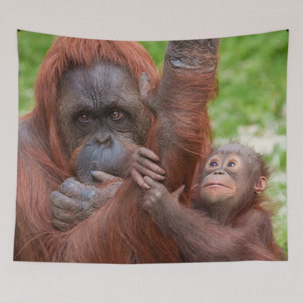Item preview, Wonder in Those Tiny Eyes designed and sold by rawshutterbug.
