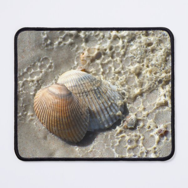 Item preview, Seashells designed and sold by SNAP HAPPY.