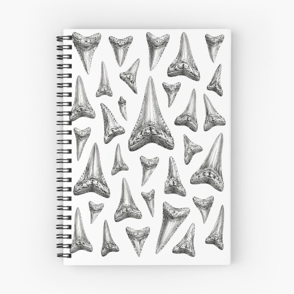 Item preview, Vintage Shark Teeth Fossils Paleontology Chart designed and sold by JackCurtis1991.