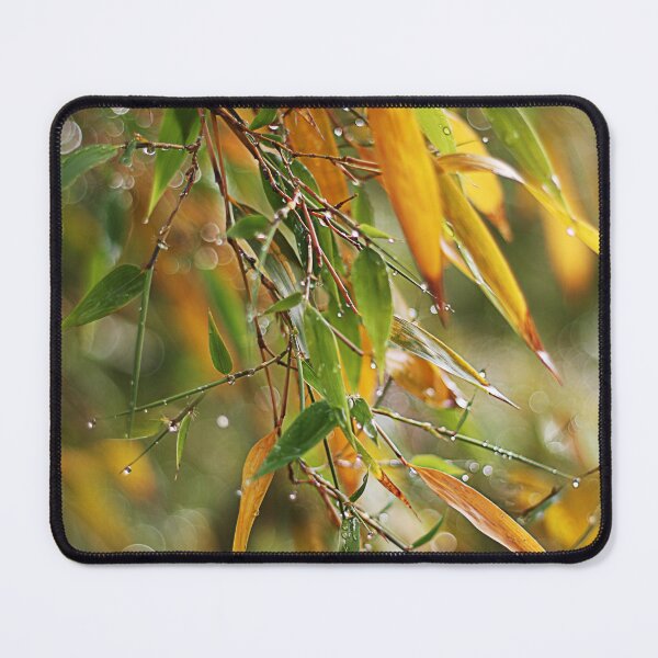 Item preview, Bamboo in the rain designed and sold by Paul Pasco.