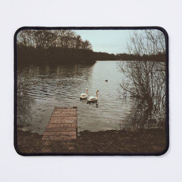Item preview, Swans in love! designed and sold by Cosmic Child.
