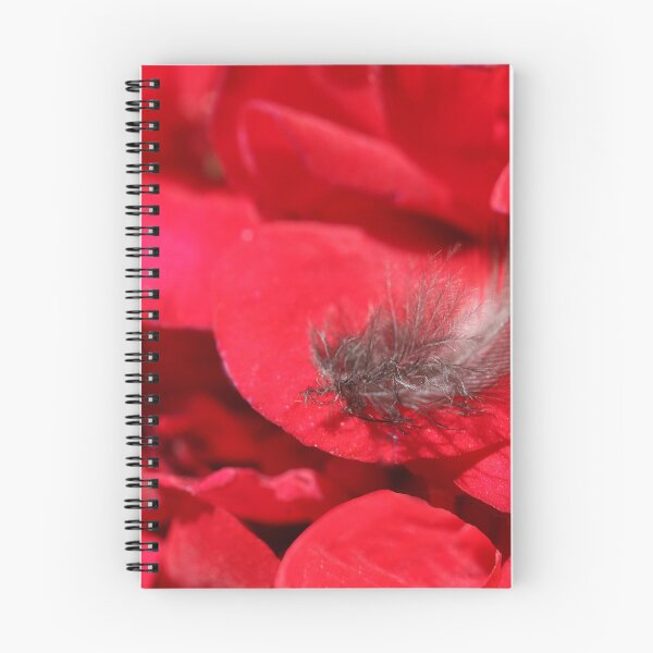 Item preview, Flower and feather designed and sold by Paul Pasco.