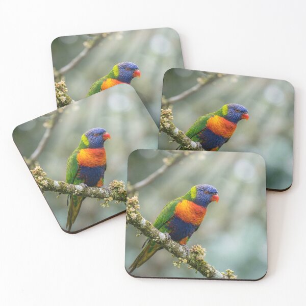 Item preview, Male Rainbow Lorikeet designed and sold by Tridentulus.