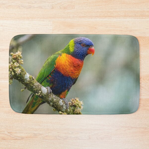 Item preview, Male Rainbow Lorikeet designed and sold by Tridentulus.