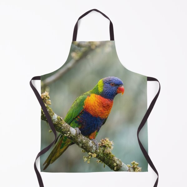 Item preview, Male Rainbow Lorikeet designed and sold by Tridentulus.