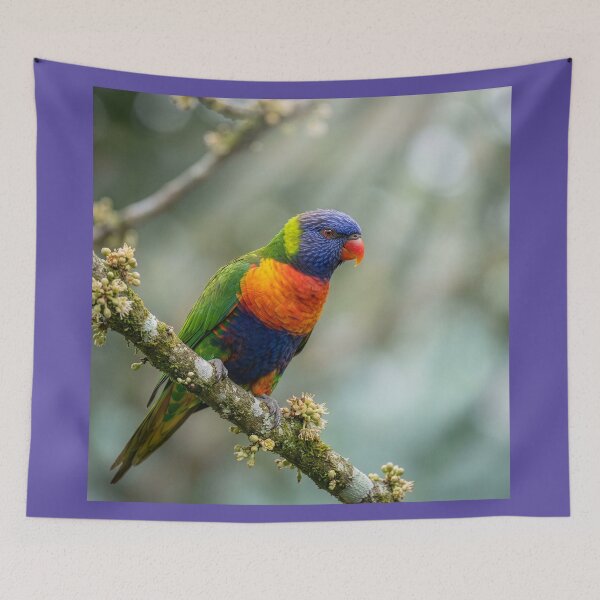 Item preview, Male Rainbow Lorikeet designed and sold by Tridentulus.