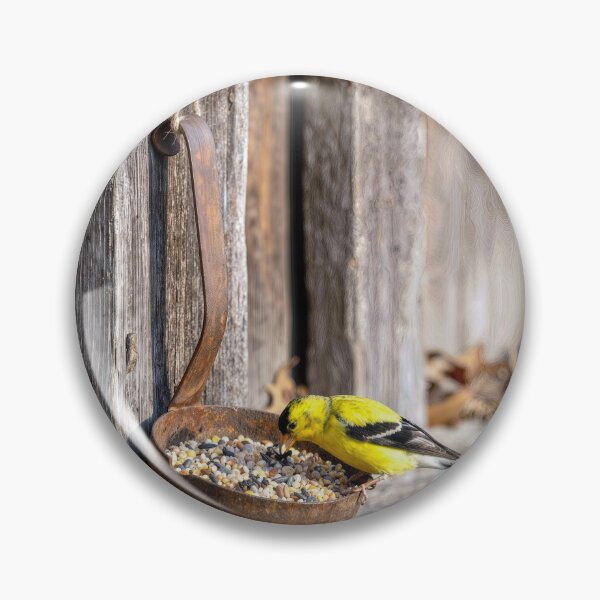 Item preview, Yellow Finch on a Rusty Ladle designed and sold by Maria Dryfhout.