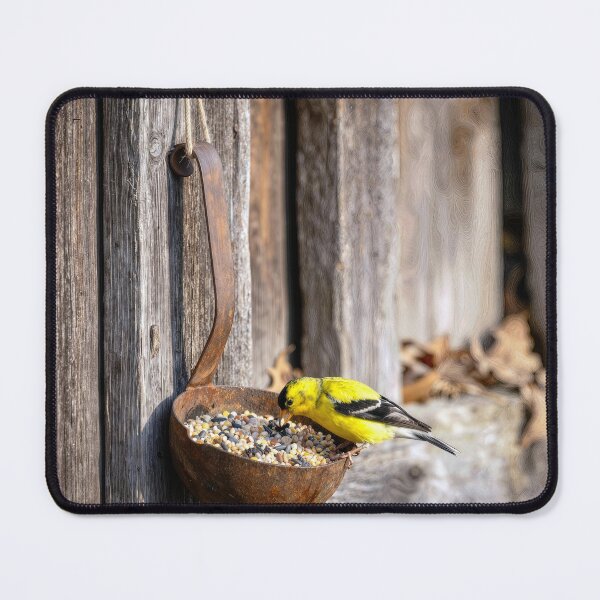 Item preview, Yellow Finch on a Rusty Ladle designed and sold by Maria Dryfhout.