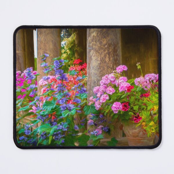 Item preview, Pillars and Pelargoniums designed and sold by Viv Thompson Photography .