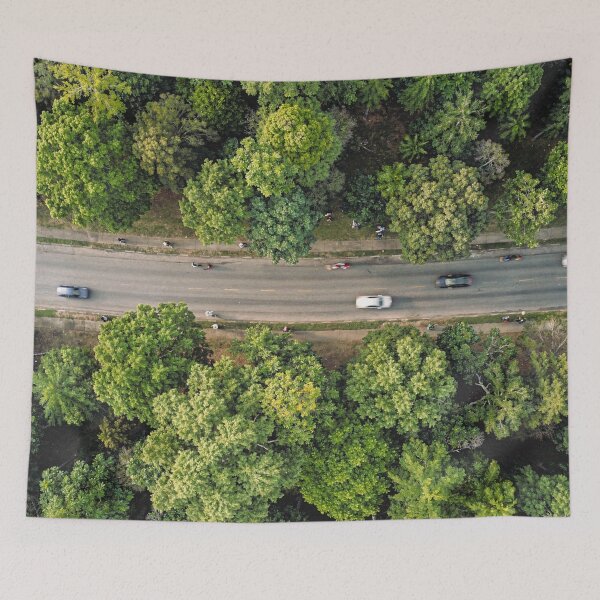 Item preview, Jungle Road designed and sold by BabylonVibes.