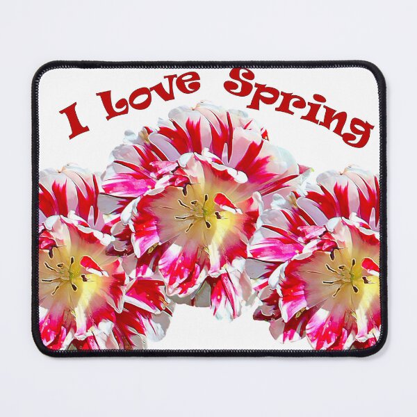 Item preview, I Love Spring - Tulip Trio designed and sold by BostonArcImage.