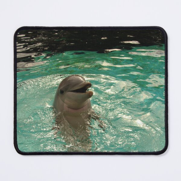 Item preview, Happy Dolphin designed and sold by PaulineHoward.
