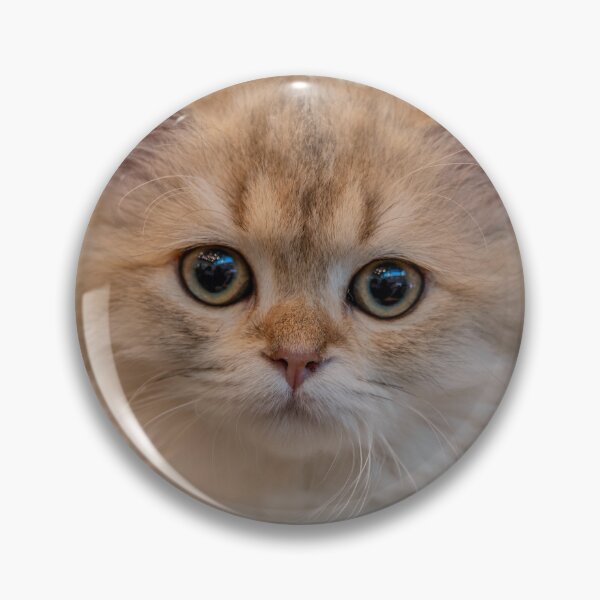 Item preview, Cute Fluffy Golden Kitten Portrait with Dreamy Bokeh designed and sold by BlueMandarin.