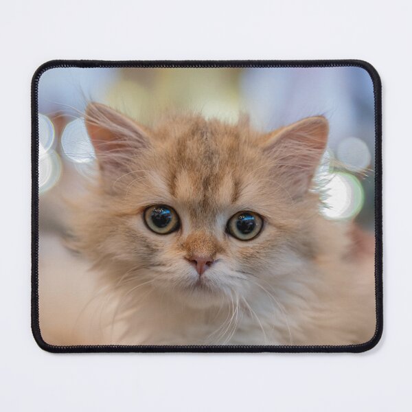 Item preview, Cute Fluffy Golden Kitten Portrait with Dreamy Bokeh designed and sold by BlueMandarin.