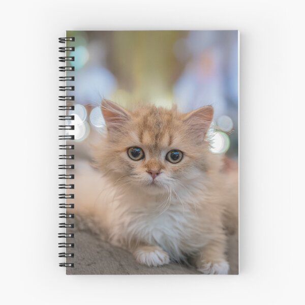 Item preview, Cute Fluffy Golden Kitten Portrait with Dreamy Bokeh designed and sold by BlueMandarin.