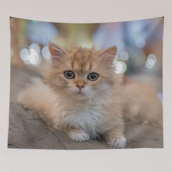 Item preview, Cute Fluffy Golden Kitten Portrait with Dreamy Bokeh designed and sold by BlueMandarin.