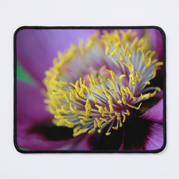 Item preview, Yellow heart of flower in spring garden designed and sold by olena2552.
