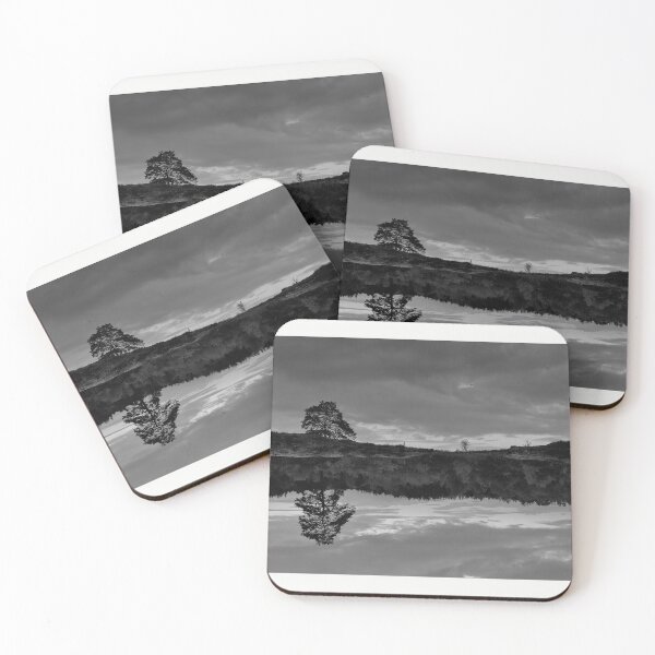 Item preview, Tree reflected in a puddle designed and sold by IvanAtila.