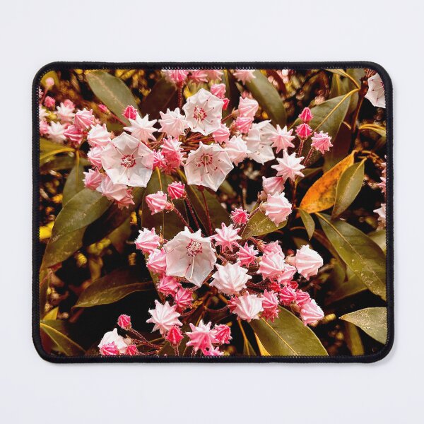 Item preview, Mountain Laurel designed and sold by Cyrus Moth.