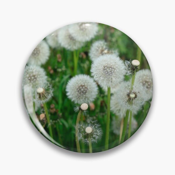 Item preview, Fluffy dandelions in field designed and sold by olena2552.